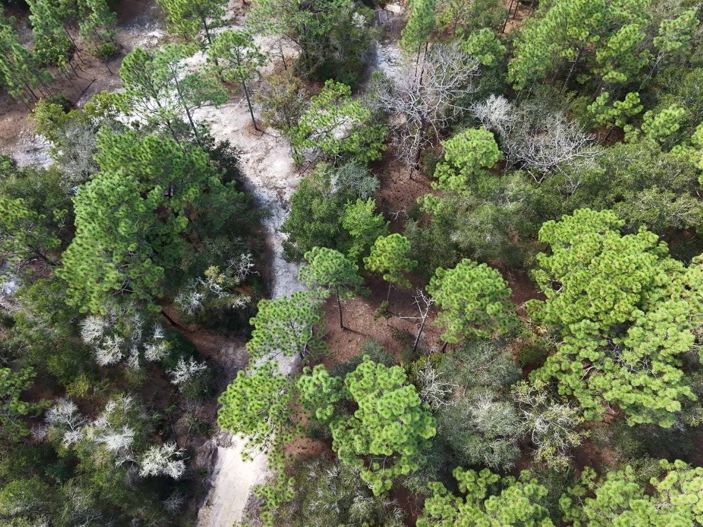 7416 N NATHAN POINT, Crystal River, FL 34428 7416 N NATHAN POINT, Crystal River, FL 34428