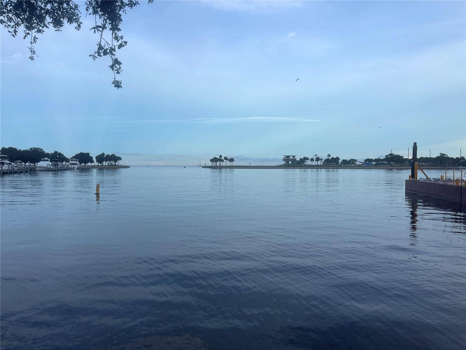 View of Tampa Bay