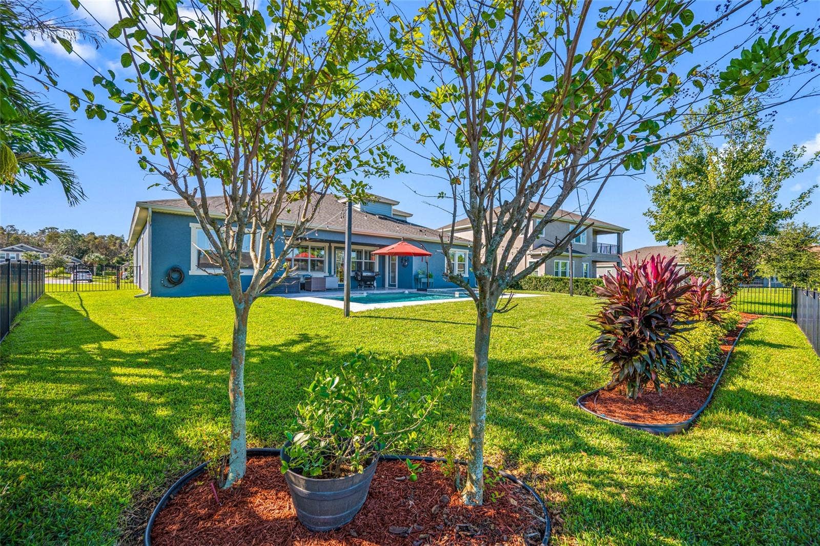 4161 GLADE WOOD LOOP, New Port Richey, FL 34655 Backyard