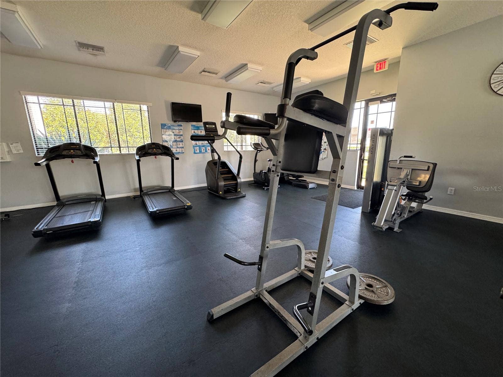 8427 CARRIAGE POINTE DRIVE, Gibsonton, FL 33534 gym