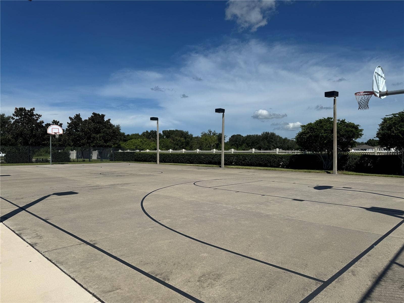 8427 CARRIAGE POINTE DRIVE, Gibsonton, FL 33534 basketball