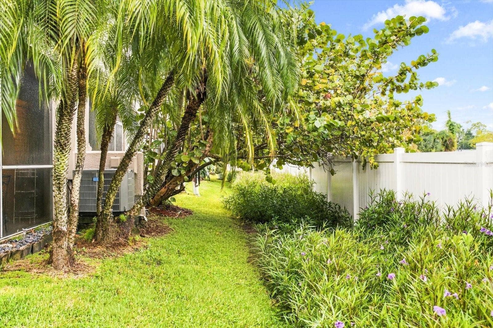 6681 80TH AVENUE N, Pinellas Park, FL 33781 Backyard Area