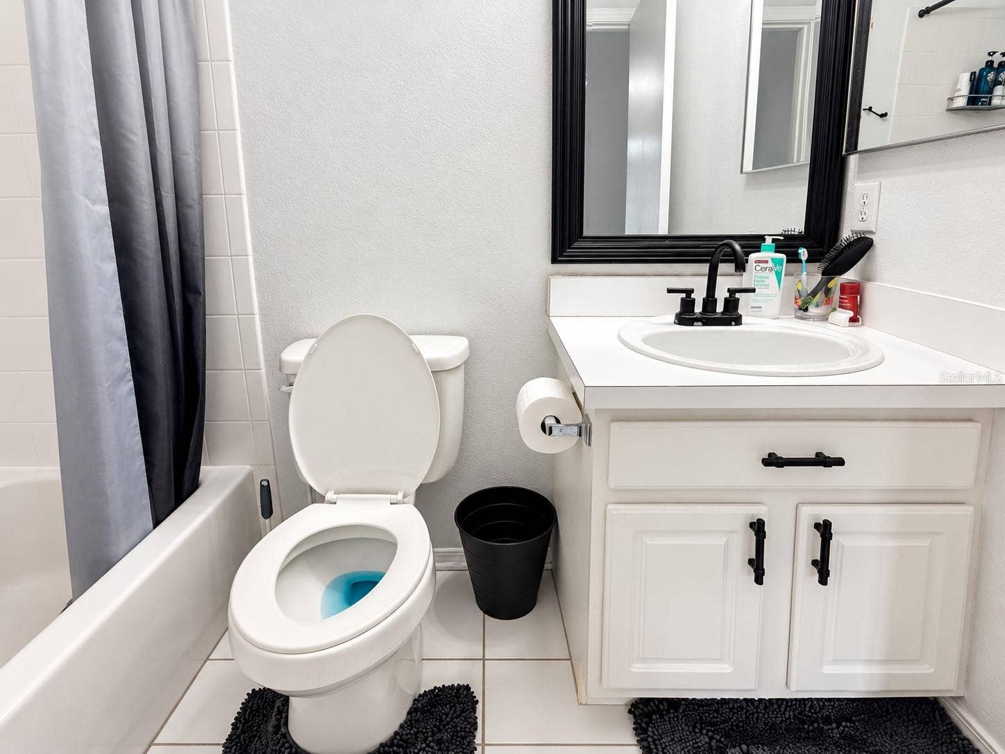 2334 LAKE WOODBERRY CIRCLE, Brandon, FL 33510 2334 LAKE WOODBERRY CIRCLE, Brandon, FL 33510