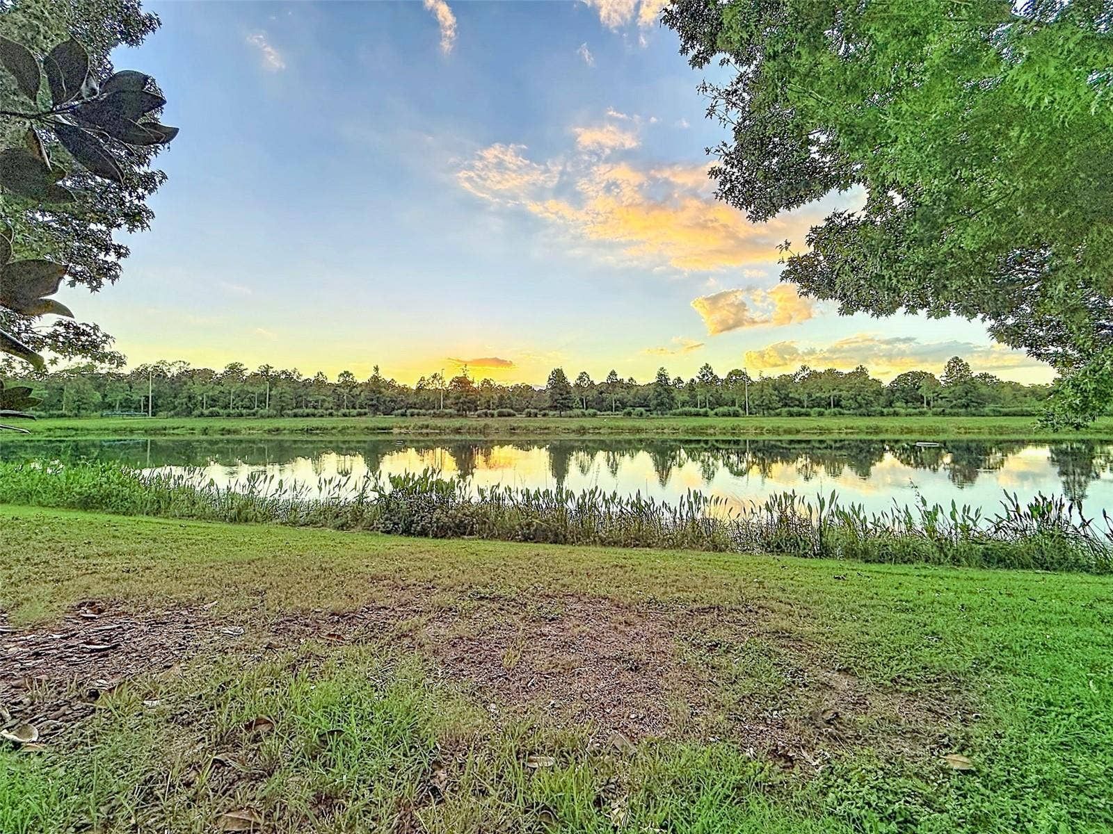 1961 MILKWEED TRACE, Lutz, FL 33558