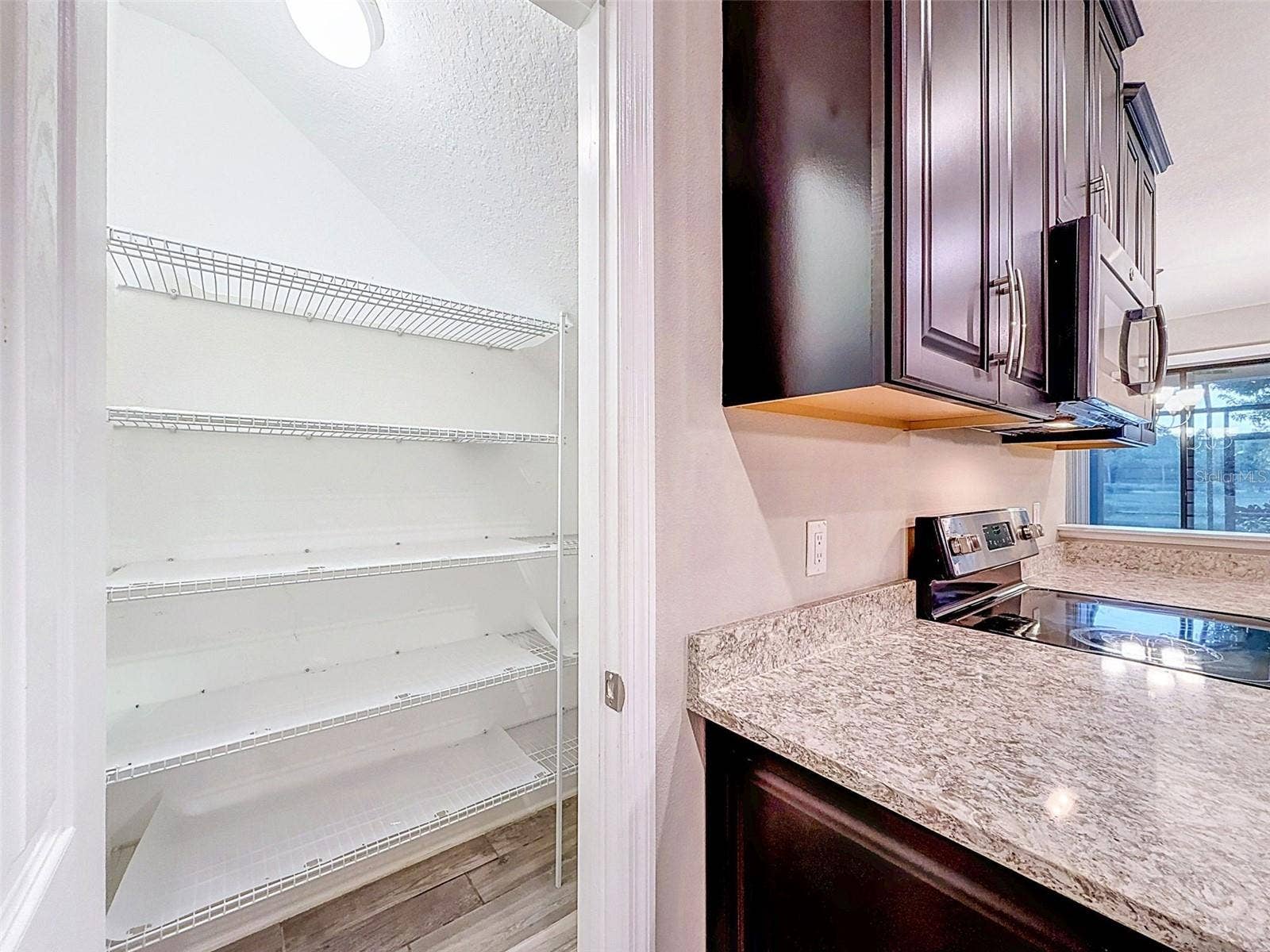 1961 MILKWEED TRACE, Lutz, FL 33558