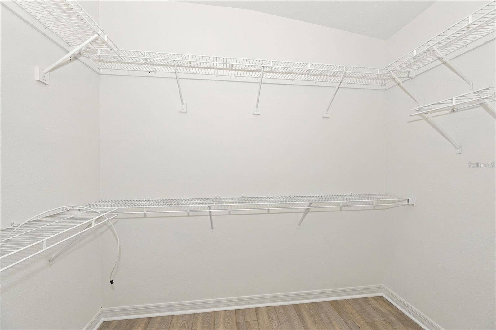 10313 WILLOW LEAF TRAIL, Tampa, FL 33625 Walk-In Closet of Primary Bedroom