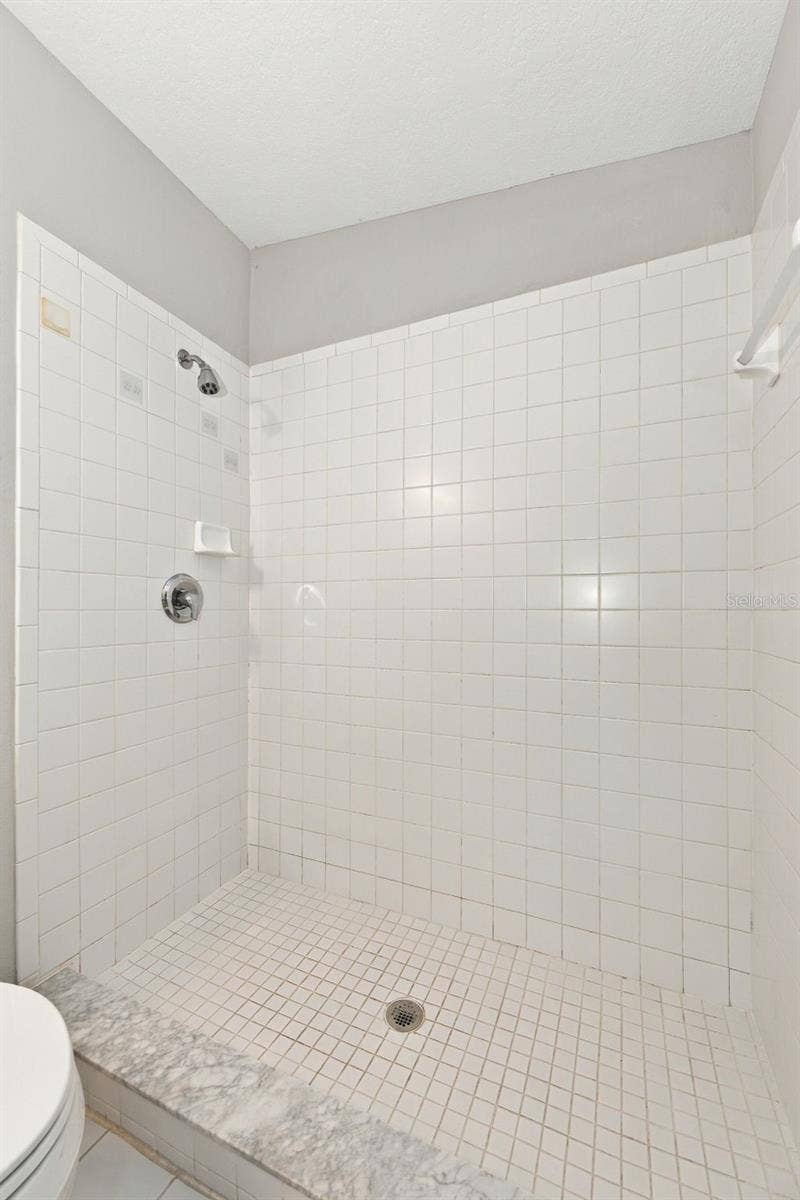 10313 WILLOW LEAF TRAIL, Tampa, FL 33625 Walk-In Shower