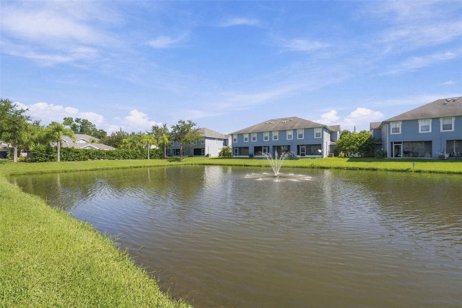 10313 WILLOW LEAF TRAIL, Tampa, FL 33625 View of Backyard
