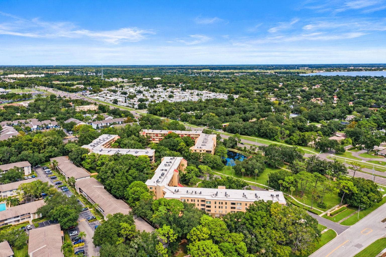 3062 EASTLAND BOULEVARD, #313, Clearwater, FL 33761 3062 EASTLAND BOULEVARD, #313, Clearwater, FL 33761