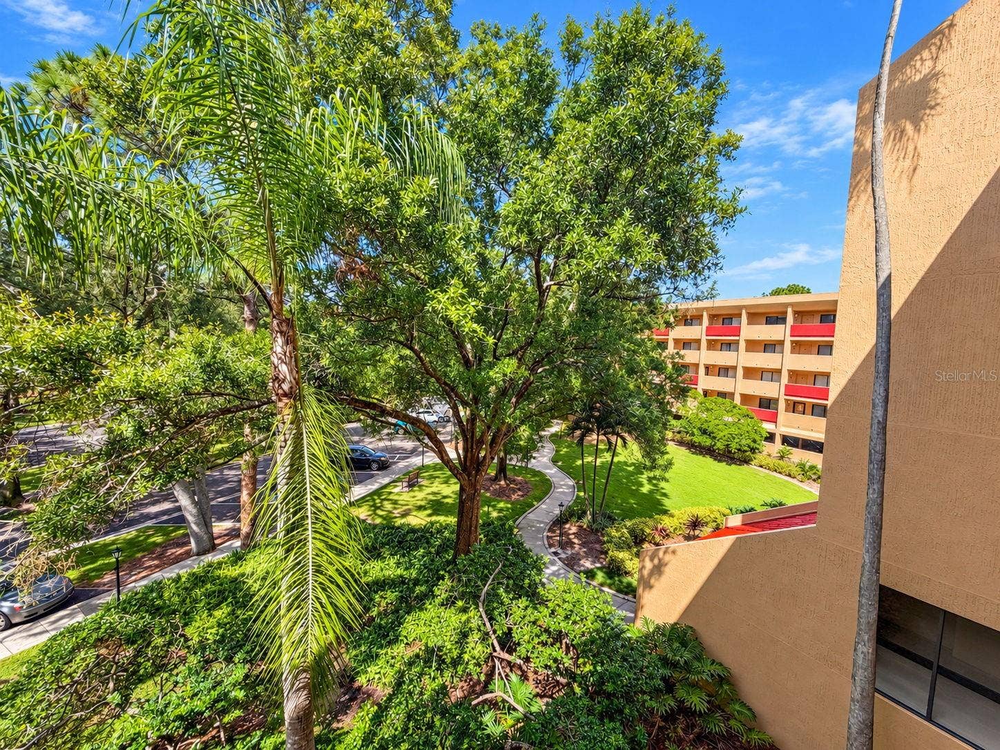3062 EASTLAND BOULEVARD, #313, Clearwater, FL 33761 3062 EASTLAND BOULEVARD, #313, Clearwater, FL 33761