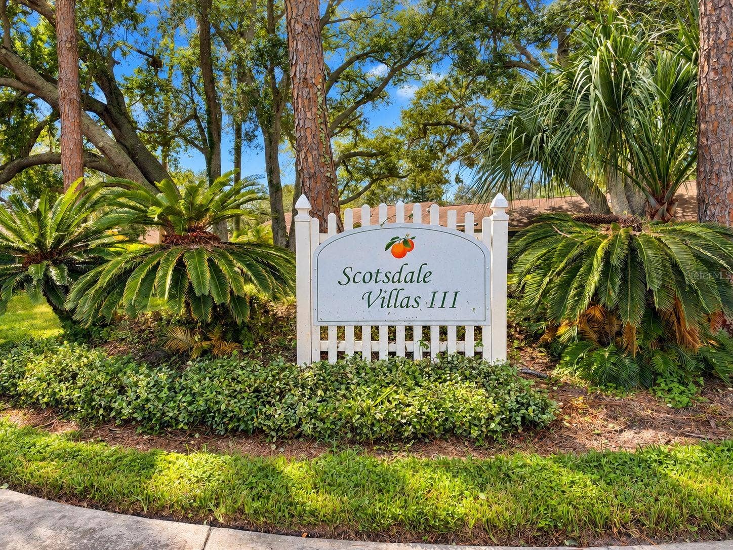 1111 TARRIDON COURT, #1111, Dunedin, FL 34698 1111 TARRIDON COURT, #1111, Dunedin, FL 34698