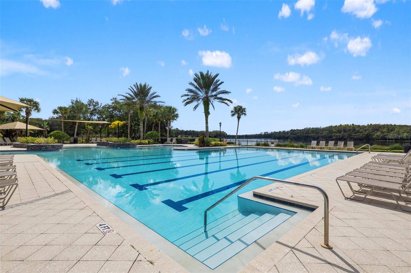 14623 CANOPY DRIVE, Tampa, FL 33626 14623 CANOPY DRIVE, Tampa, FL 33626