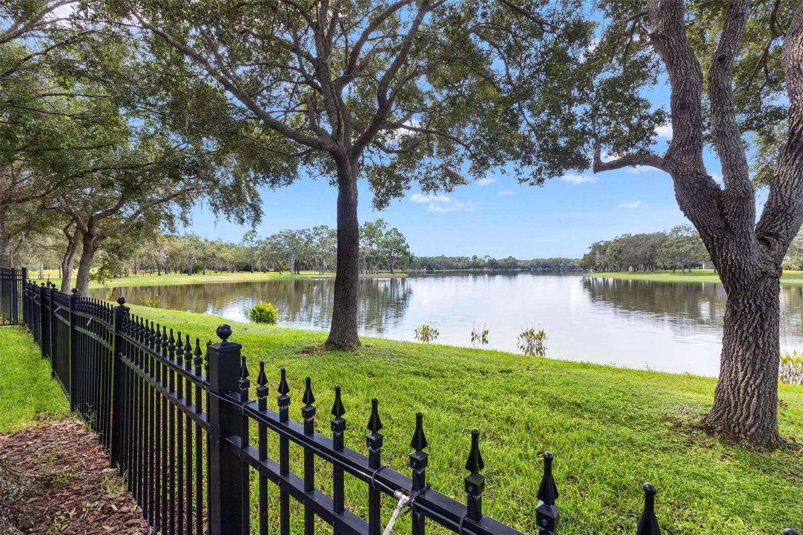 14623 CANOPY DRIVE, Tampa, FL 33626 14623 CANOPY DRIVE, Tampa, FL 33626
