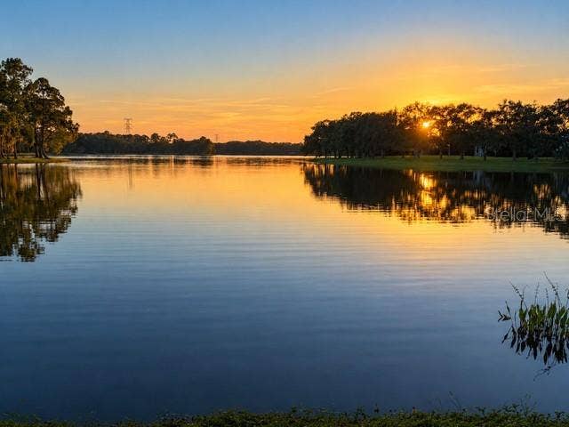 14623 CANOPY DRIVE, Tampa, FL 33626 14623 CANOPY DRIVE, Tampa, FL 33626