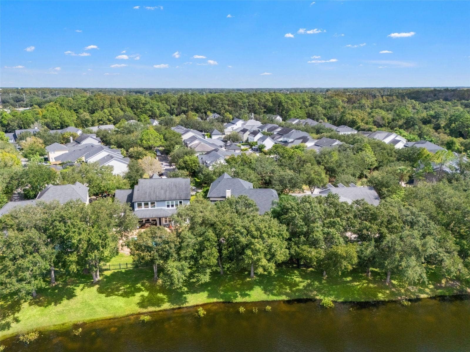 14623 CANOPY DRIVE, Tampa, FL 33626 14623 CANOPY DRIVE, Tampa, FL 33626