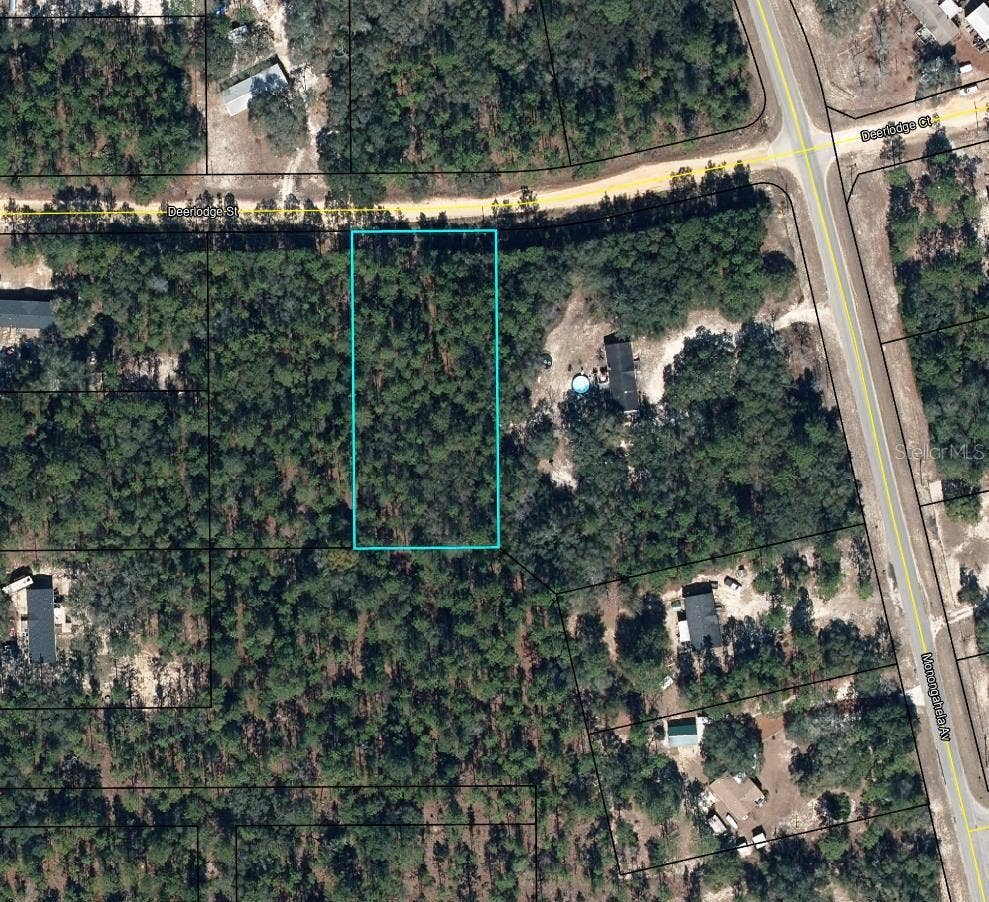 5615 DEERLODGE STREET, Keystone Heights, FL 32656 5615 DEERLODGE STREET, Keystone Heights, FL 32656