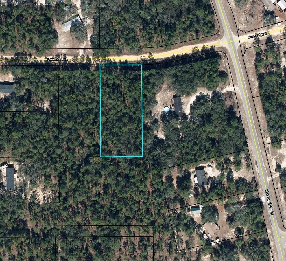 5615 DEERLODGE STREET, Keystone Heights, FL 32656 5615 DEERLODGE STREET, Keystone Heights, FL 32656