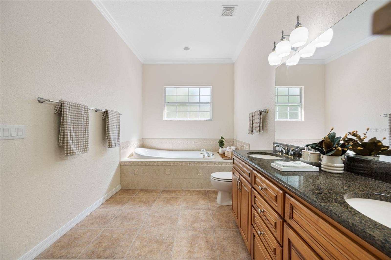 Large Garden Tub, High Ceiling & Crown Molding!