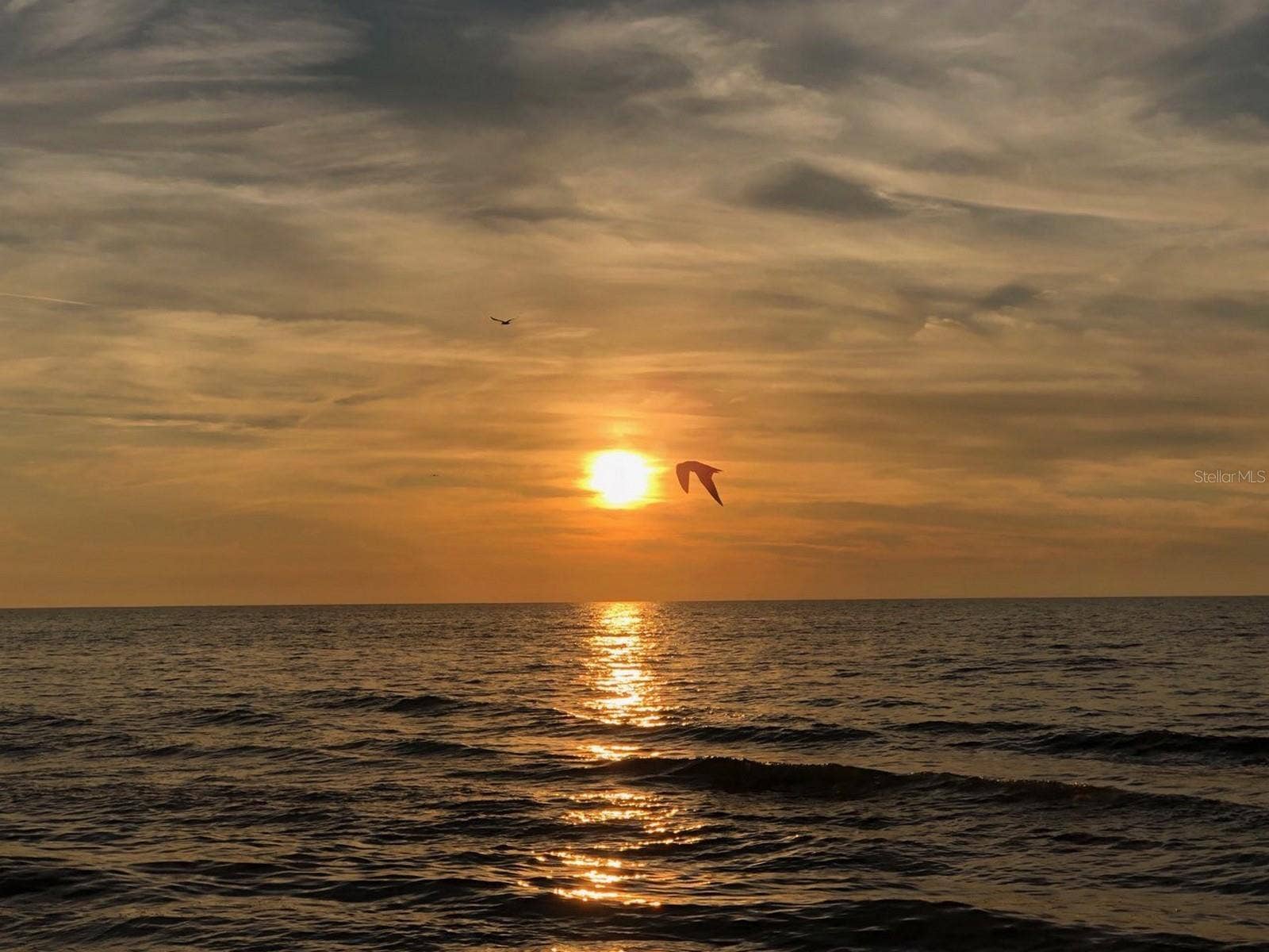 215 VALENCIA BOULEVARD, #107, Belleair Bluffs, FL 33770 Area Beaches