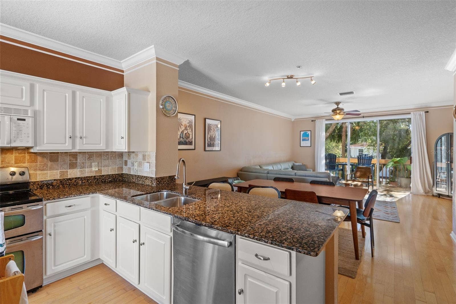 3181 BAYSHORE OAKS DRIVE, Tampa, FL 33611 Kitchen and living area