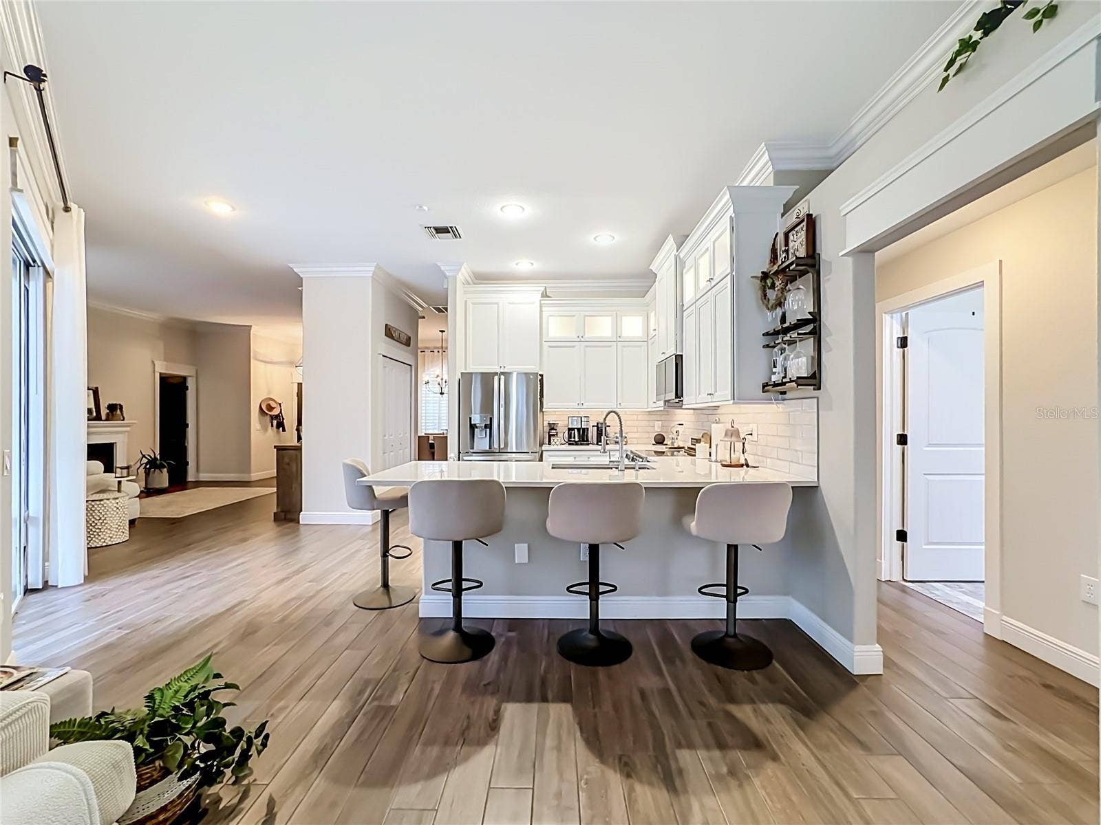 3605 ELK RIDGE LANE, Valrico, FL 33596