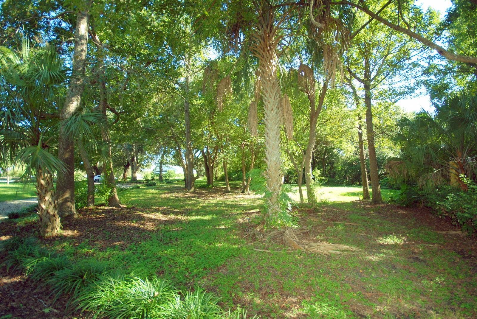 13022 E WHEELER ROAD, Dover, FL 33527 FRONT PICNIC AREA