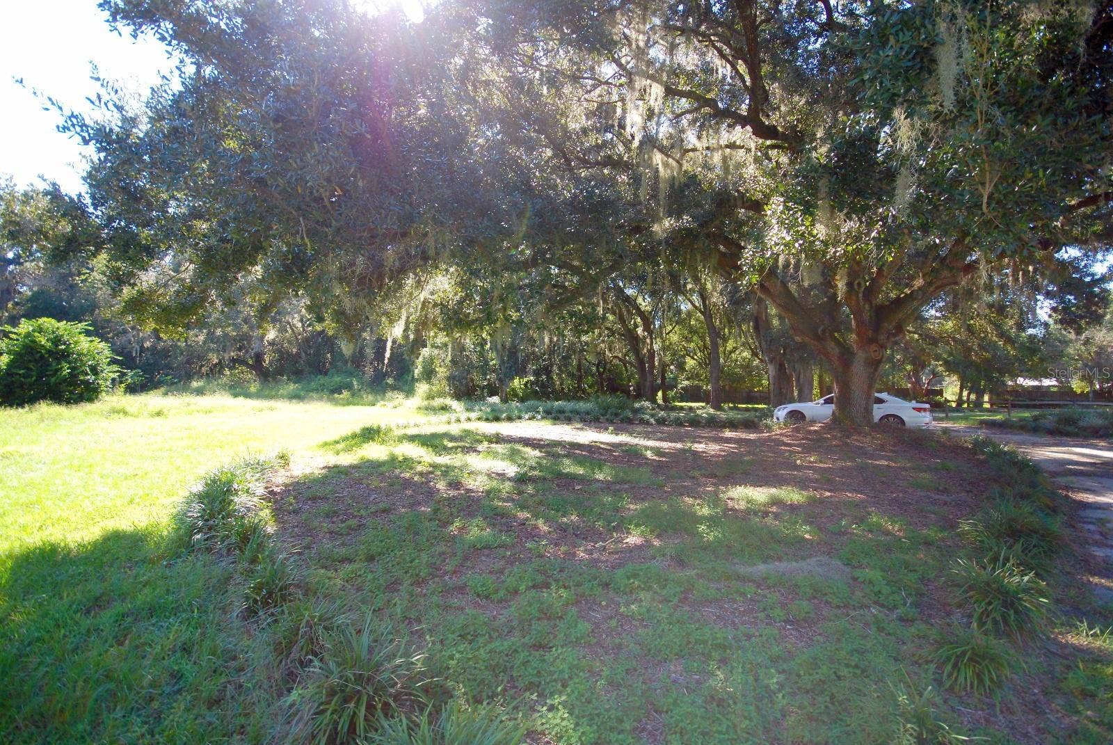 13022 E WHEELER ROAD, Dover, FL 33527 13022 E WHEELER ROAD, Dover, FL 33527