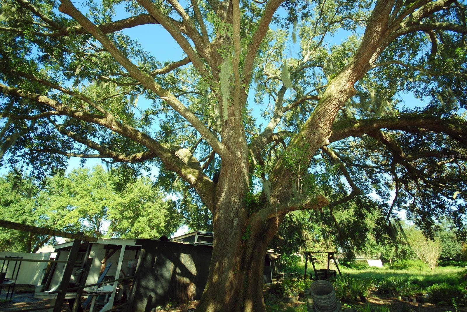 13022 E WHEELER ROAD, Dover, FL 33527 13022 E WHEELER ROAD, Dover, FL 33527
