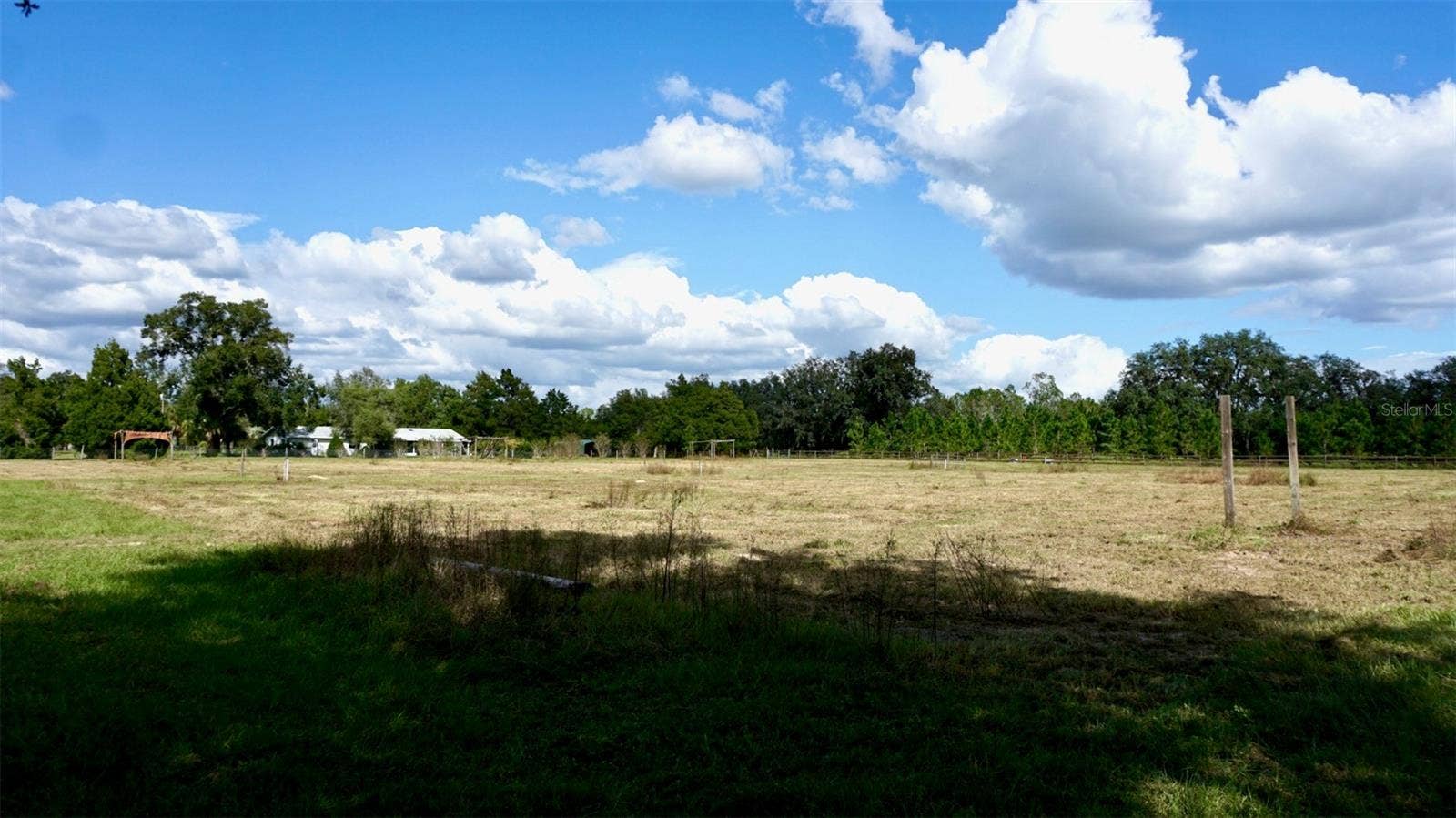 36178 GRESHAM ROAD, Webster, FL 33597 Pasture on left side of property