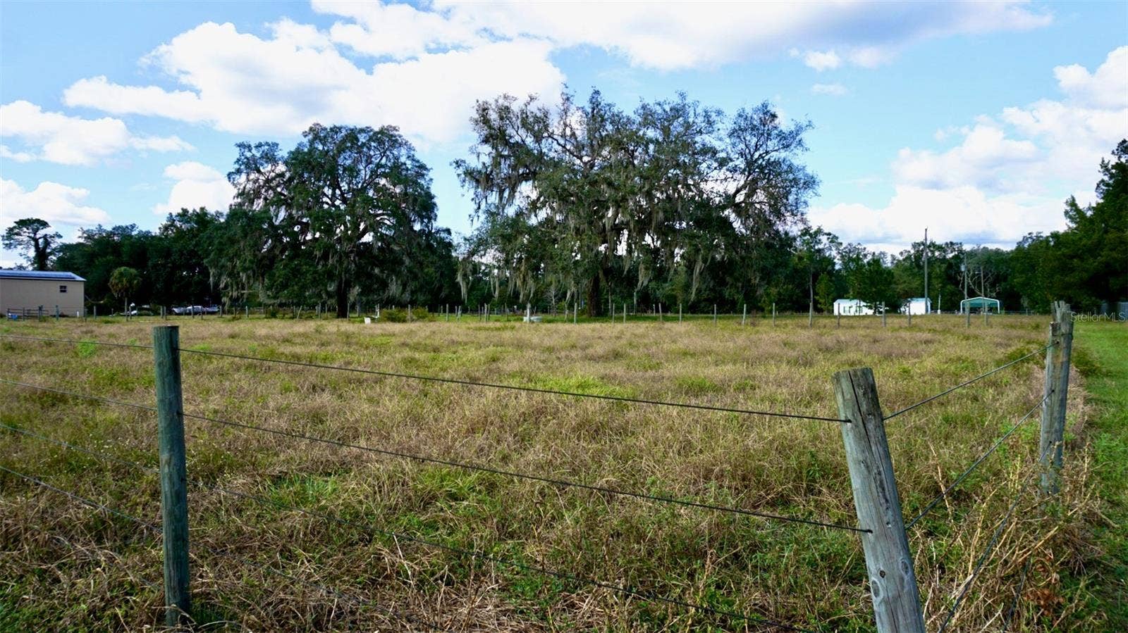 36178 GRESHAM ROAD, Webster, FL 33597 36178 GRESHAM ROAD, Webster, FL 33597