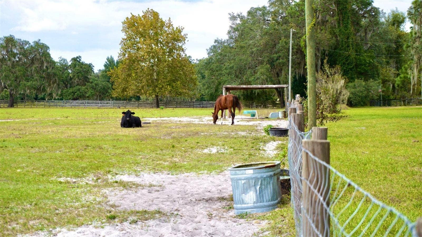 36178 GRESHAM ROAD, Webster, FL 33597 Pasture with water troughs