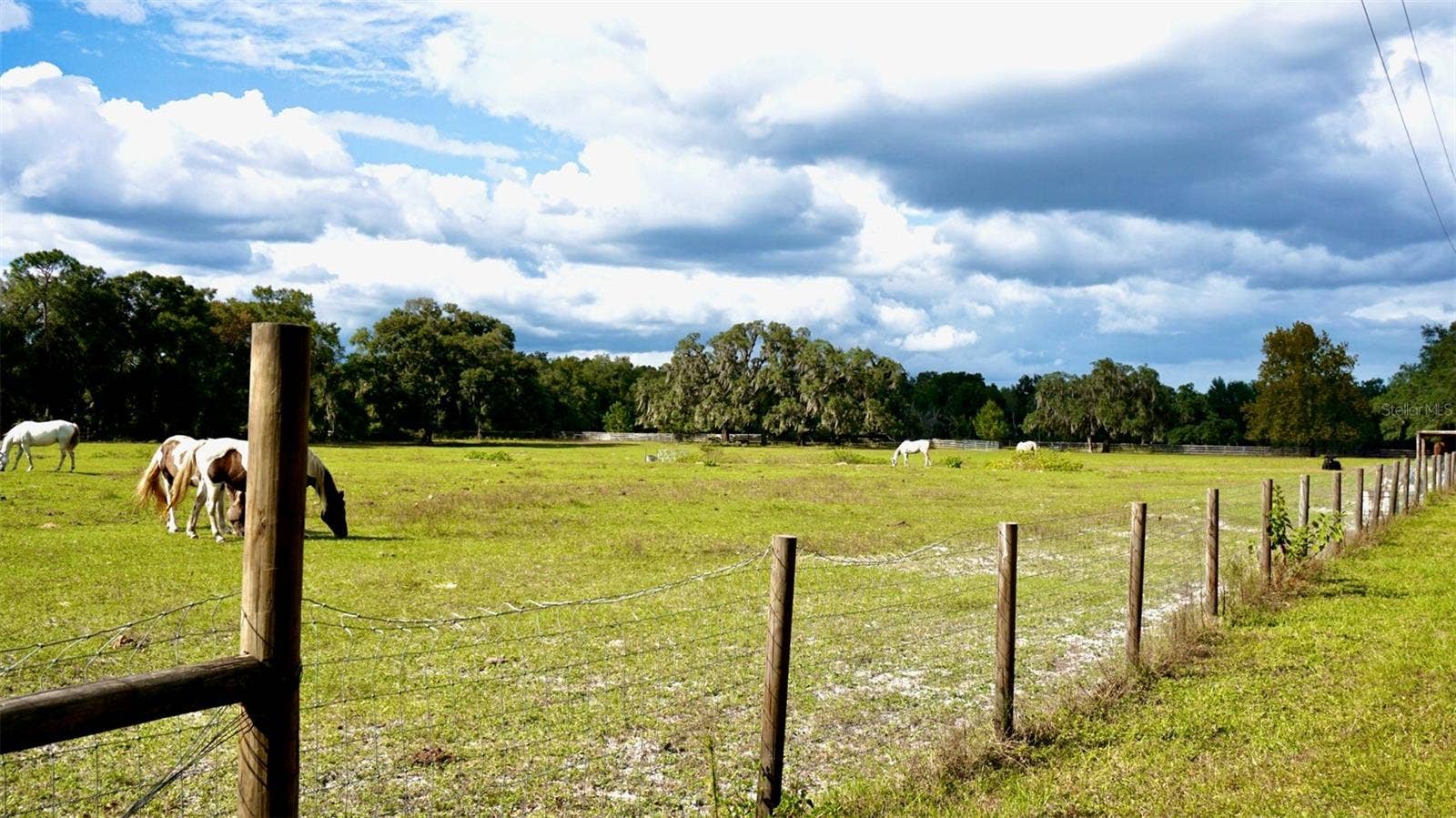 36178 GRESHAM ROAD, Webster, FL 33597 36178 GRESHAM ROAD, Webster, FL 33597