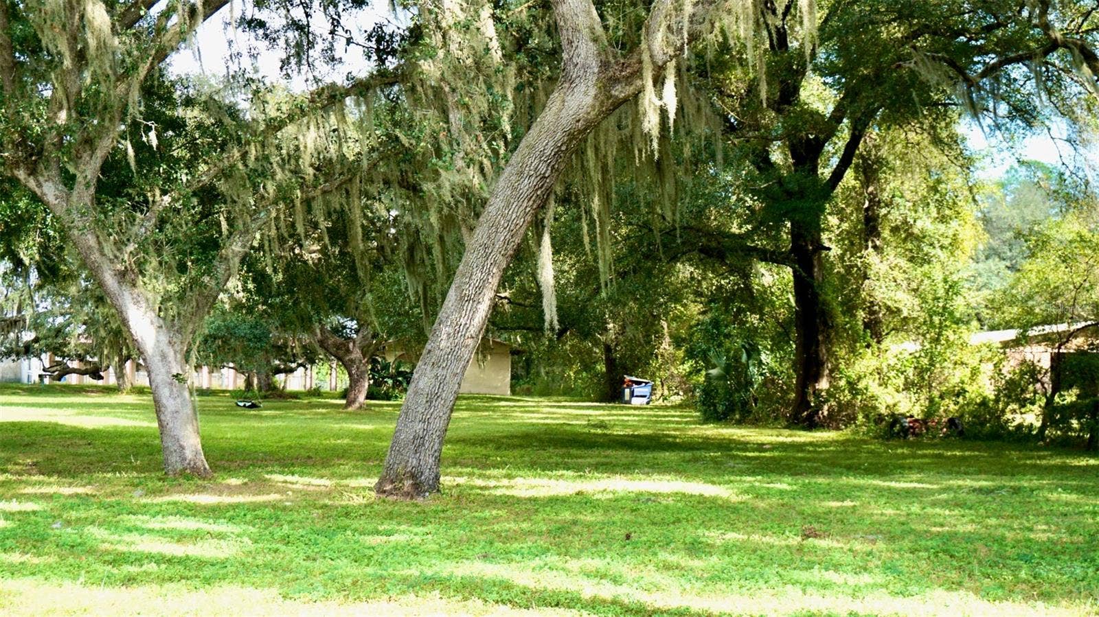 36178 GRESHAM ROAD, Webster, FL 33597 36178 GRESHAM ROAD, Webster, FL 33597