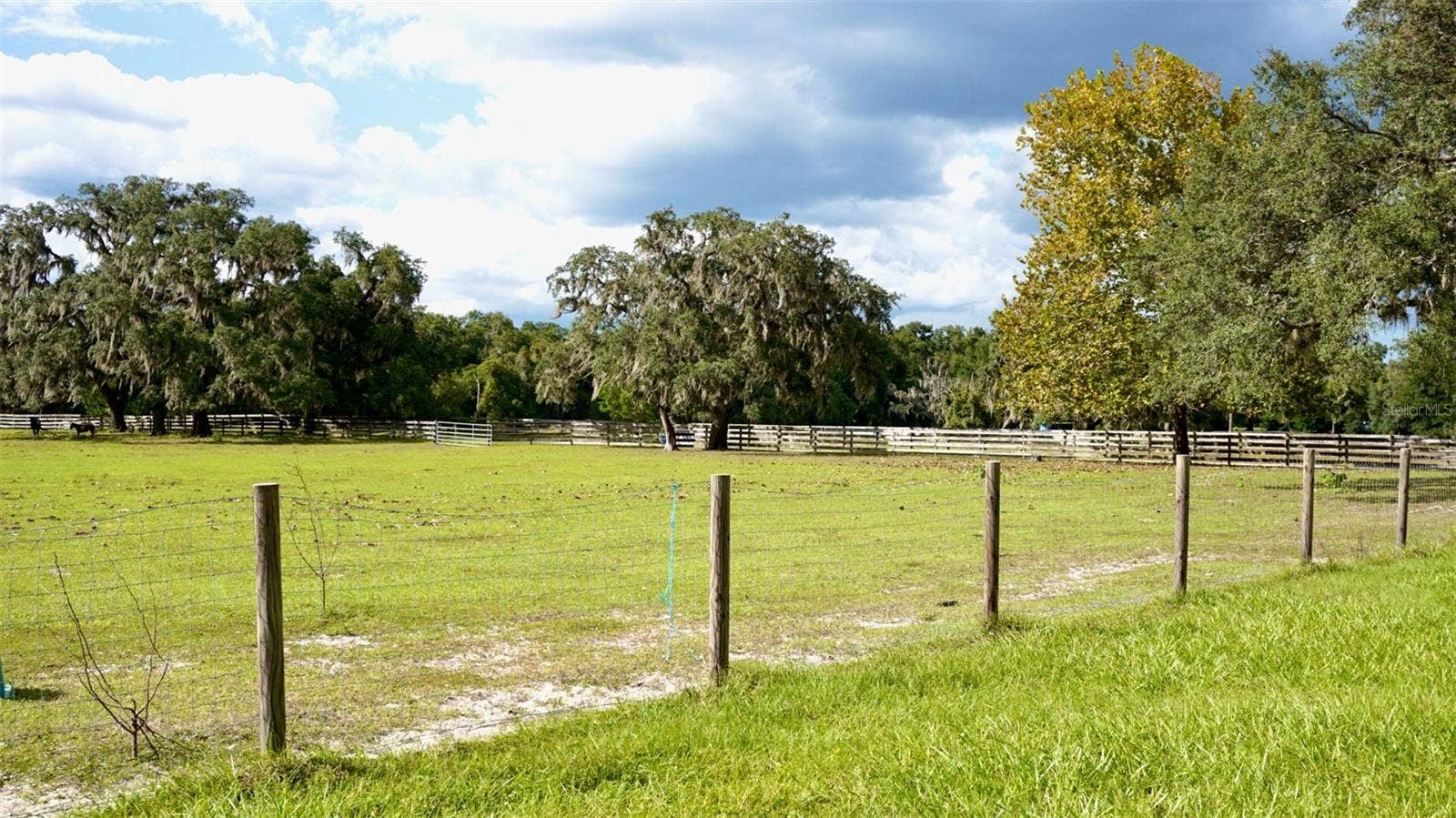 36178 GRESHAM ROAD, Webster, FL 33597 36178 GRESHAM ROAD, Webster, FL 33597