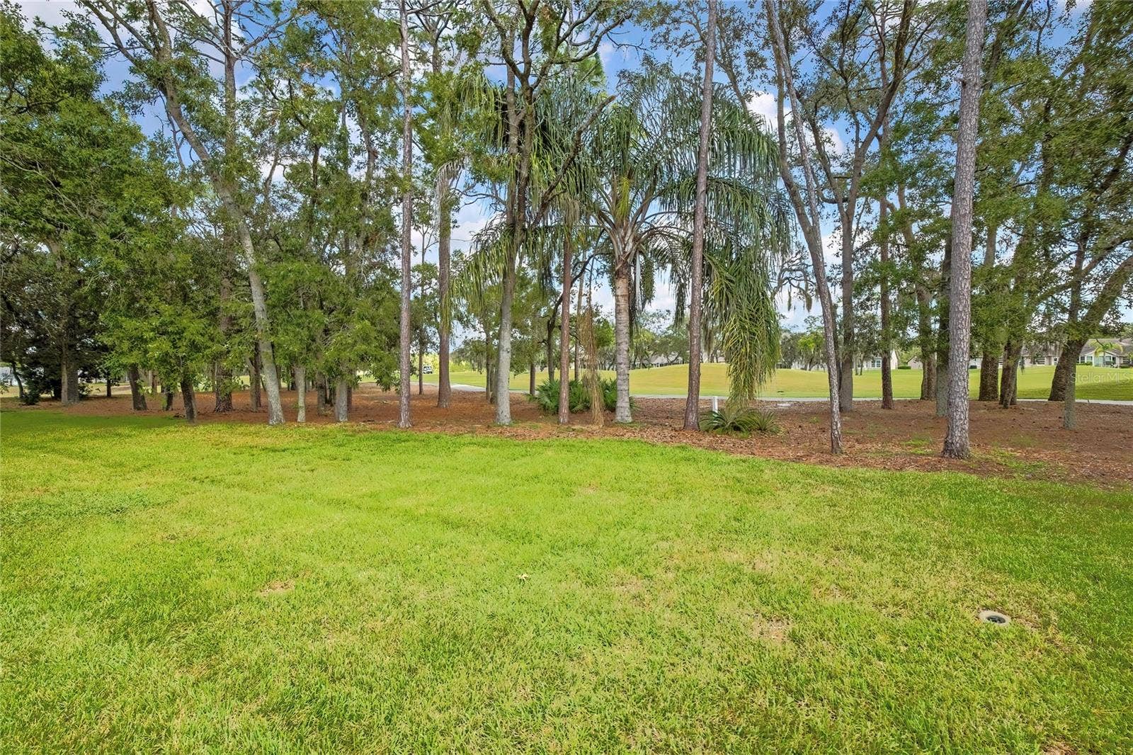 3076 SAW MILL LANE, Spring Hill, FL 34606 3076 SAW MILL LANE, Spring Hill, FL 34606
