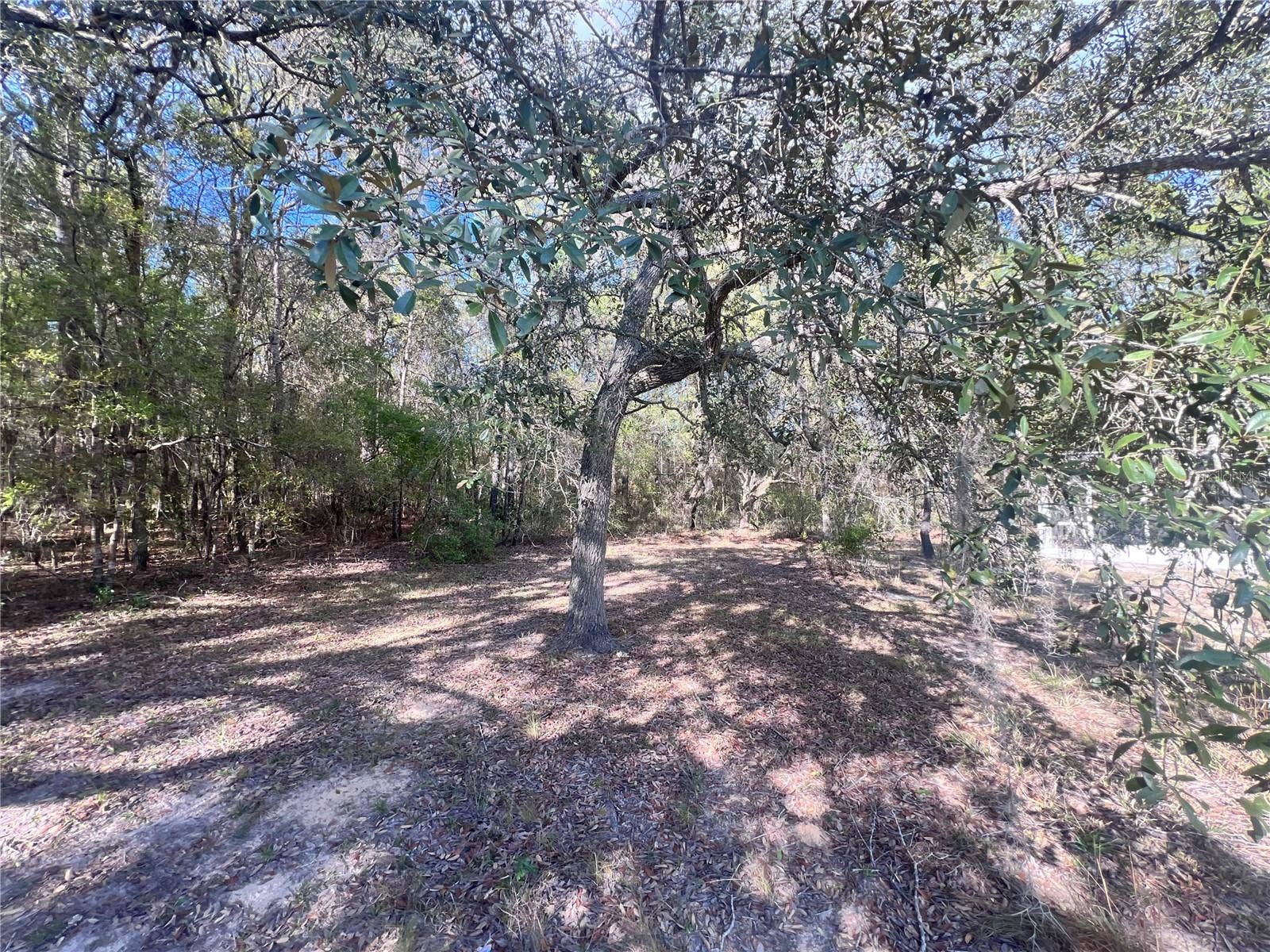 3975 W GROVER CLEVELAND BOULEVARD, Homosassa, FL 34446 3975 W GROVER CLEVELAND BOULEVARD, Homosassa, FL 34446