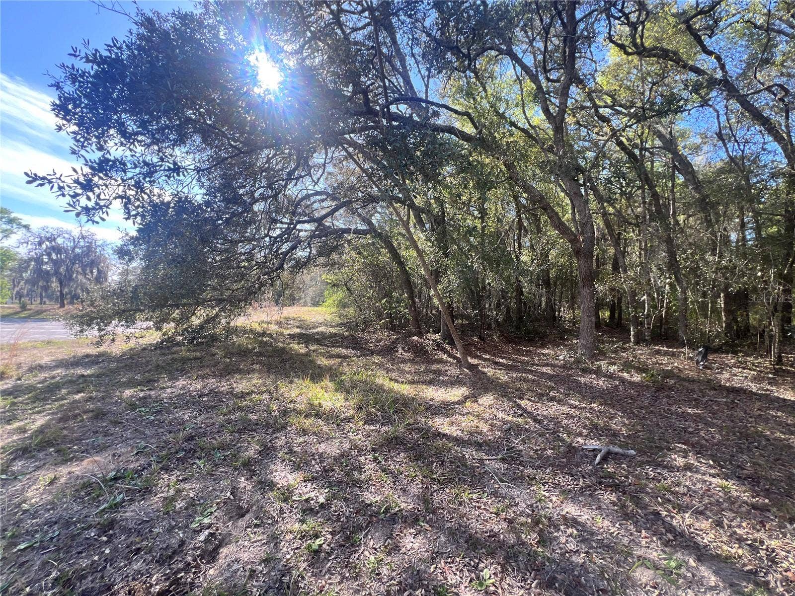 3975 W GROVER CLEVELAND BOULEVARD, Homosassa, FL 34446 3975 W GROVER CLEVELAND BOULEVARD, Homosassa, FL 34446