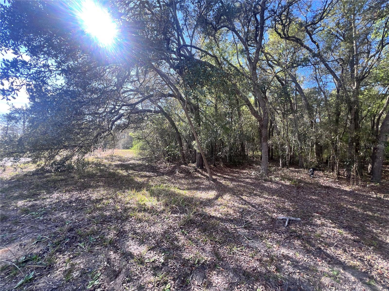 3975 W GROVER CLEVELAND BOULEVARD, Homosassa, FL 34446 3975 W GROVER CLEVELAND BOULEVARD, Homosassa, FL 34446