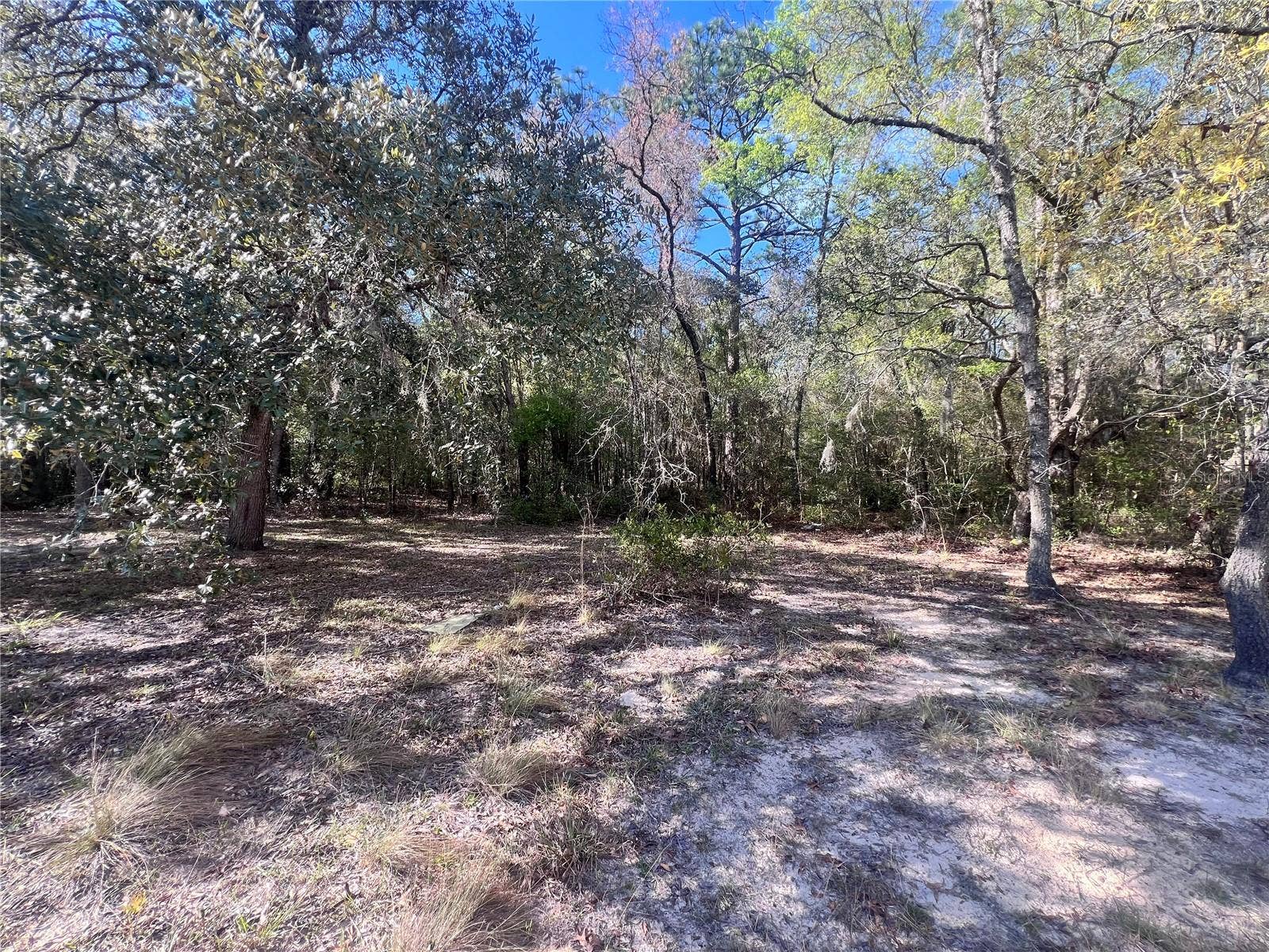 3975 W GROVER CLEVELAND BOULEVARD, Homosassa, FL 34446 3975 W GROVER CLEVELAND BOULEVARD, Homosassa, FL 34446