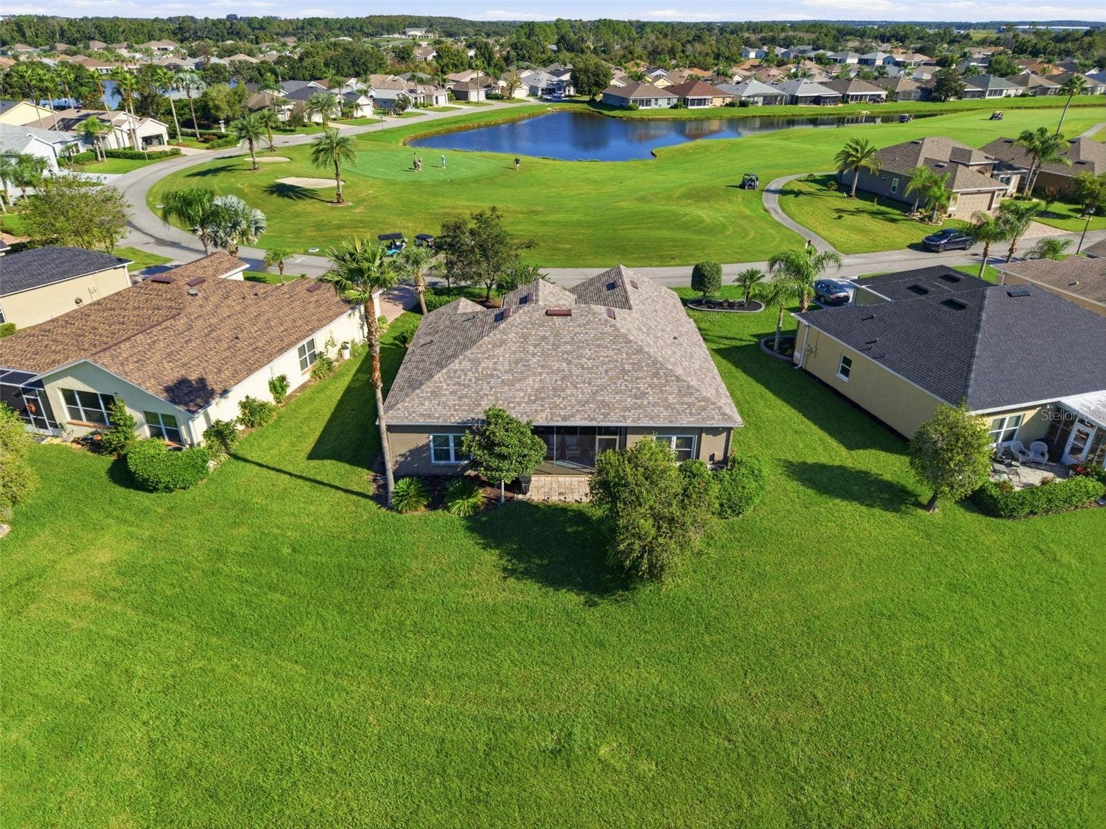 29336 COHARIE LOOP, San Antonio, FL 33576