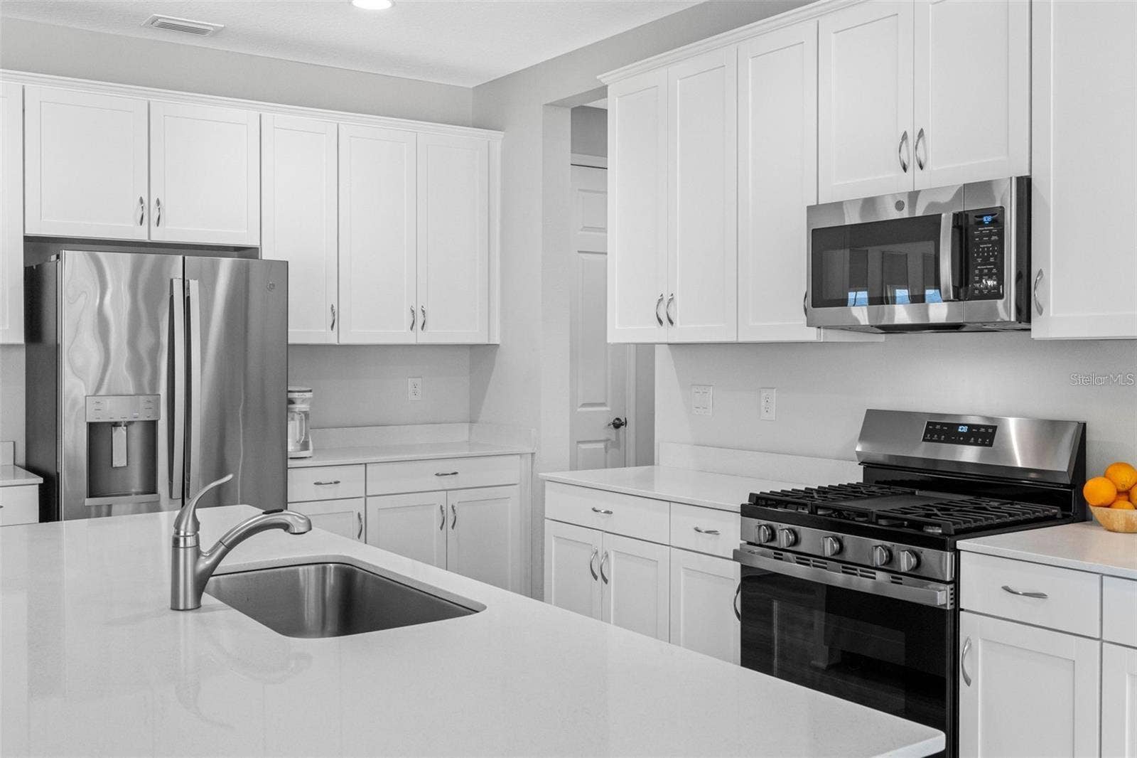 14868 SUMMER BRANCH DRIVE, Lithia, FL 33547 Professional gas range and stainless steel appliances