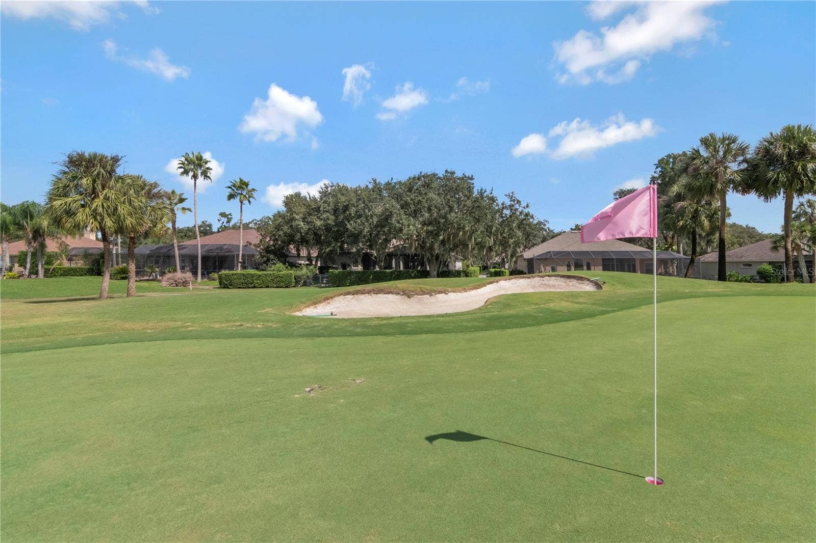 5907 CHERRY OAK DRIVE, Valrico, FL 33596 Pristine Gold Course in Your Backyard - 13th Green