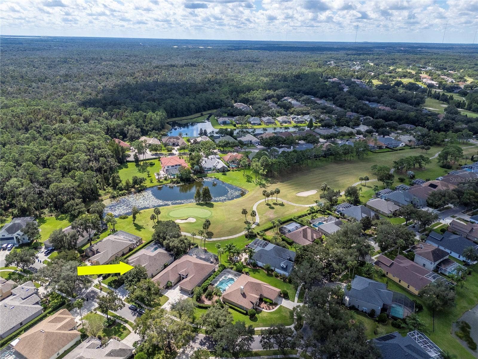 5907 CHERRY OAK DRIVE, Valrico, FL 33596 Wonderful Views of the 13th Green in the Backyard