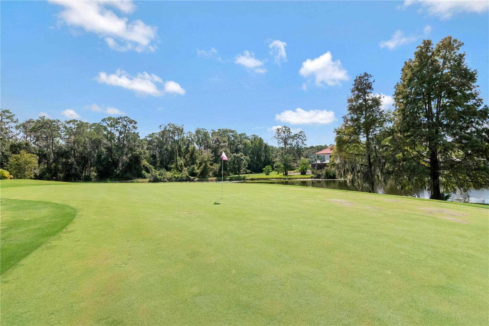 5907 CHERRY OAK DRIVE, Valrico, FL 33596 Pristine Gold Course in Your Backyard