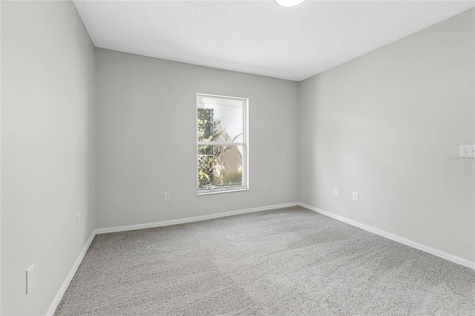 New Port Richey, FL 34655 New Port Richey, FL 34655