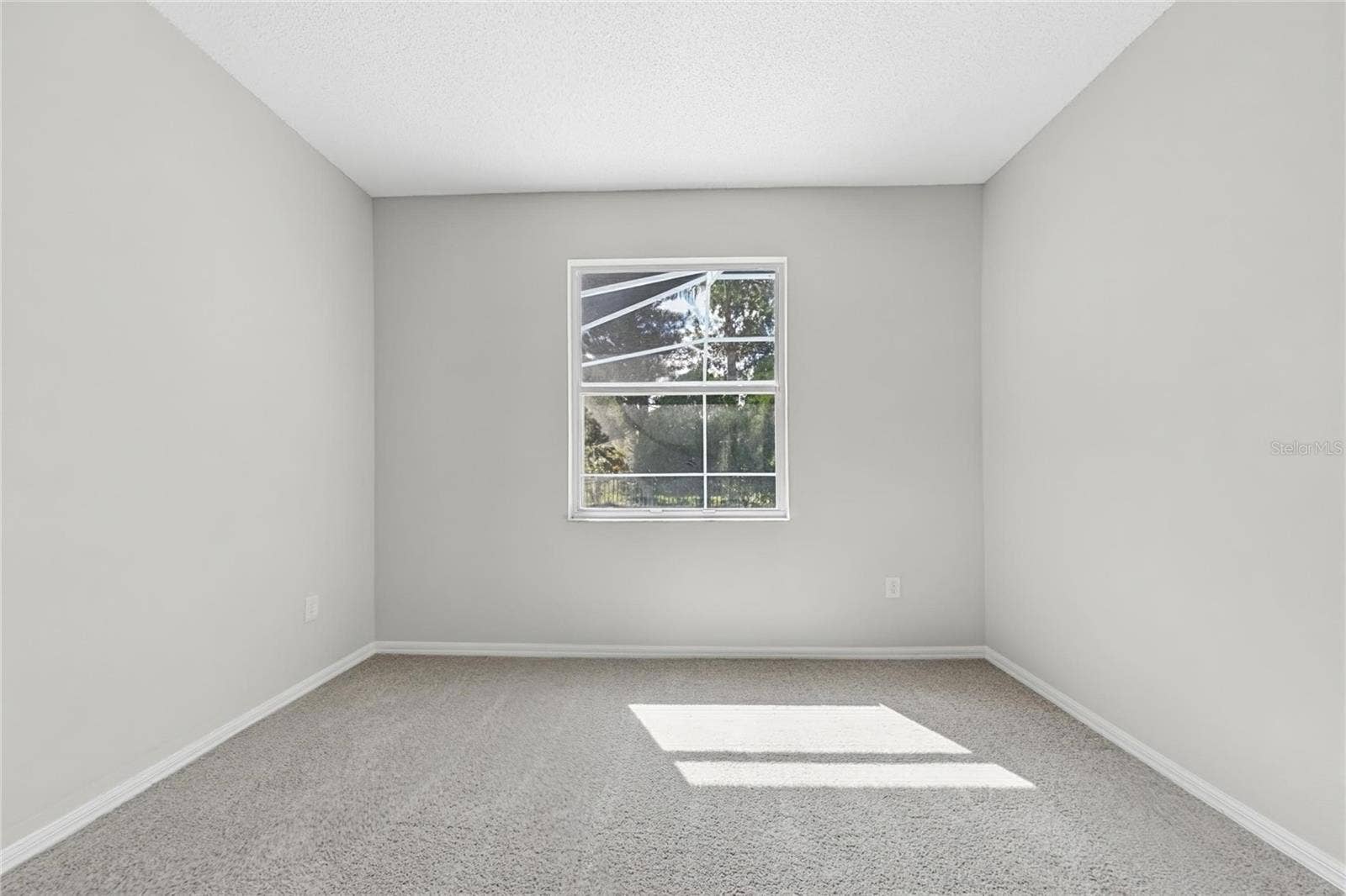 New Port Richey, FL 34655 New Port Richey, FL 34655