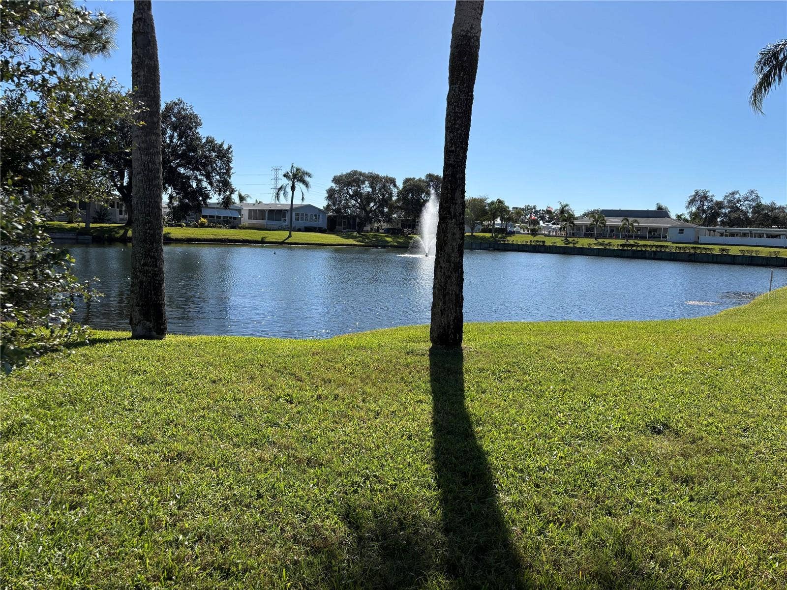 20 MOUNTAIN LAUREL DRIVE, Palm Harbor, FL 34684 Across the street