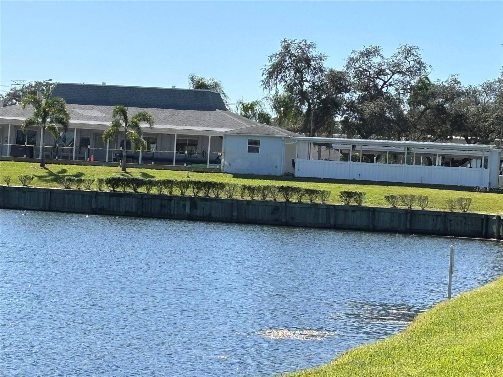 20 MOUNTAIN LAUREL DRIVE, Palm Harbor, FL 34684 Beautiful pond across the street