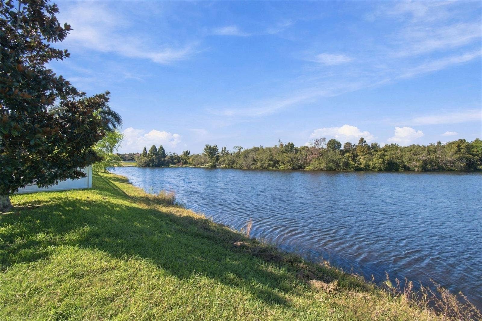 12317 BALLENTRAE FOREST DRIVE, Riverview, FL 33579 12317 BALLENTRAE FOREST DRIVE, Riverview, FL 33579