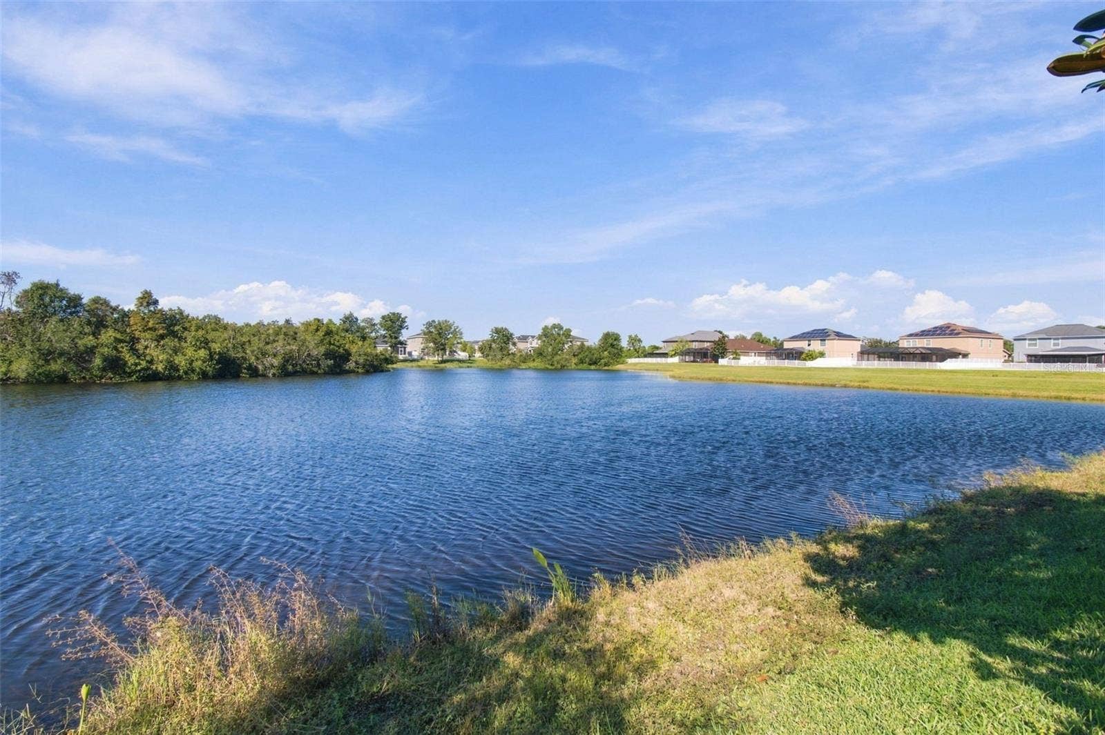 12317 BALLENTRAE FOREST DRIVE, Riverview, FL 33579 12317 BALLENTRAE FOREST DRIVE, Riverview, FL 33579